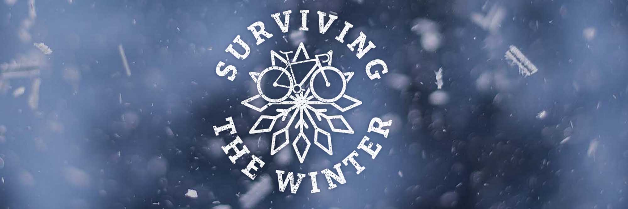 Surviving Winter