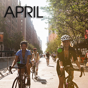 Bicycle Habitat Rentals for: April