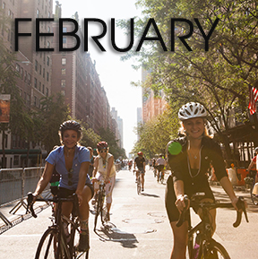 Bicycle Habitat Rentals for February