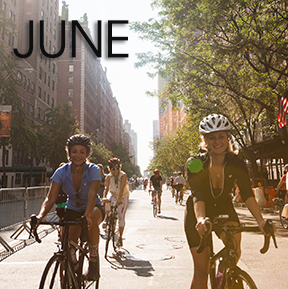 Bicycle Habitat Rentals for June