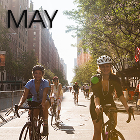 Bicycle Habitat Rentals For May 