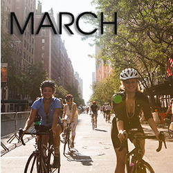 Bicycle Habitat Rentals For: March 