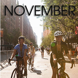 Bicycle Habitat Rentals for November