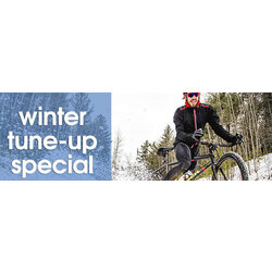 Bicycle Habitat Winter Tune-up Special