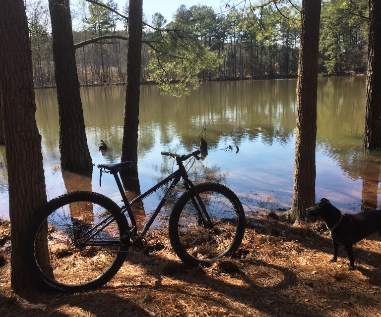 Bike next to lake