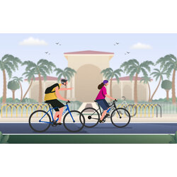 Trek Bikes Florida Bicycle Service Day Checkover - ONE BIKE