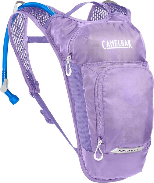 CamelBak Mini M.U.L.E. - Riverbrook Bike and Ski 10538 Main St