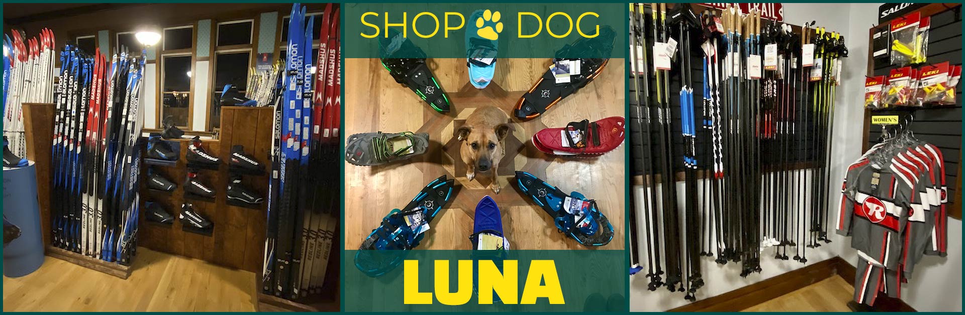 Shop Dog Luna
