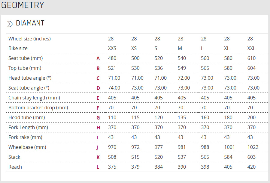 Focus Izalco Max Size Chart