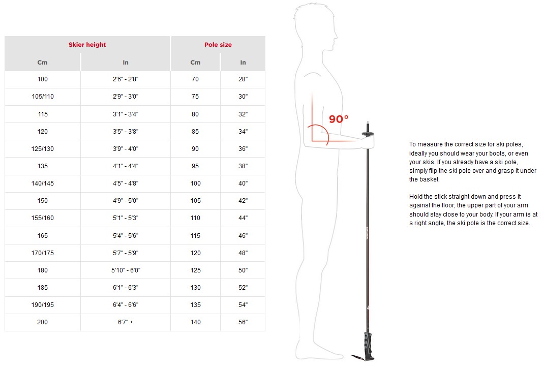 Rossignol Tactic Jr Alpine Poles Alter Ego Sports