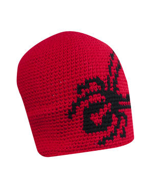 Spyder Creeper Hand Knit Hat