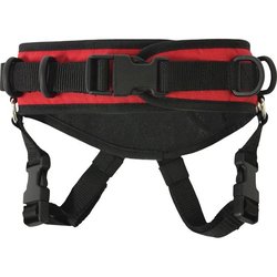 SKI TIES ULTIMATE SKI HARNESS