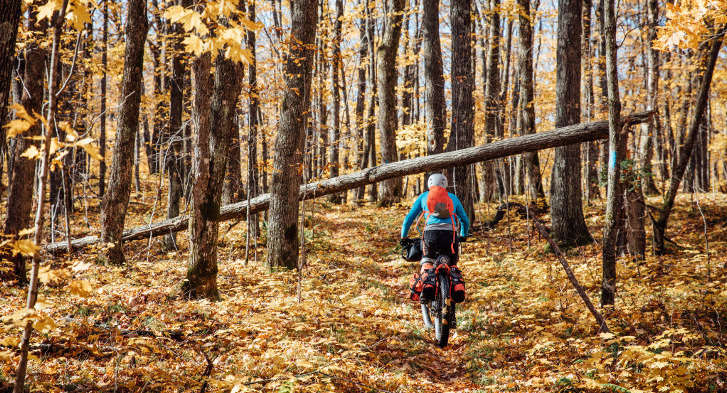 Fall Bikepacking (Image features cyclist riding bicycle through fall leaves)