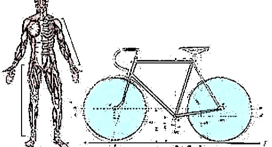 Bike fit symbol