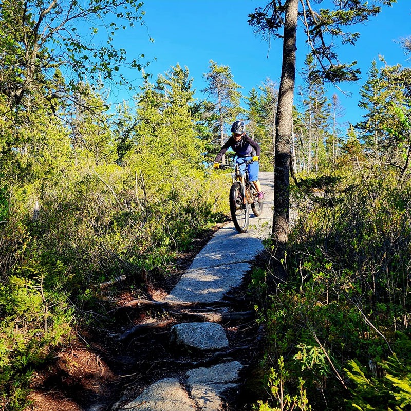 Butts on Bikes | Cyclesmith Monthly Newsletter - Cyclesmith 