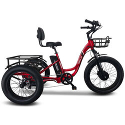 Emojo Bike Emojo Caddy Pro E Trike 