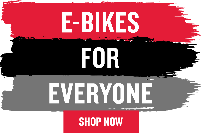 E-Bikes For Everyone