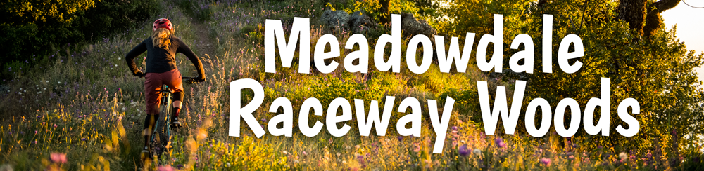 Meadowdale Raceway Woods