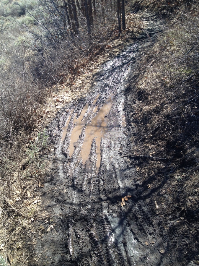 muddy trail ruts