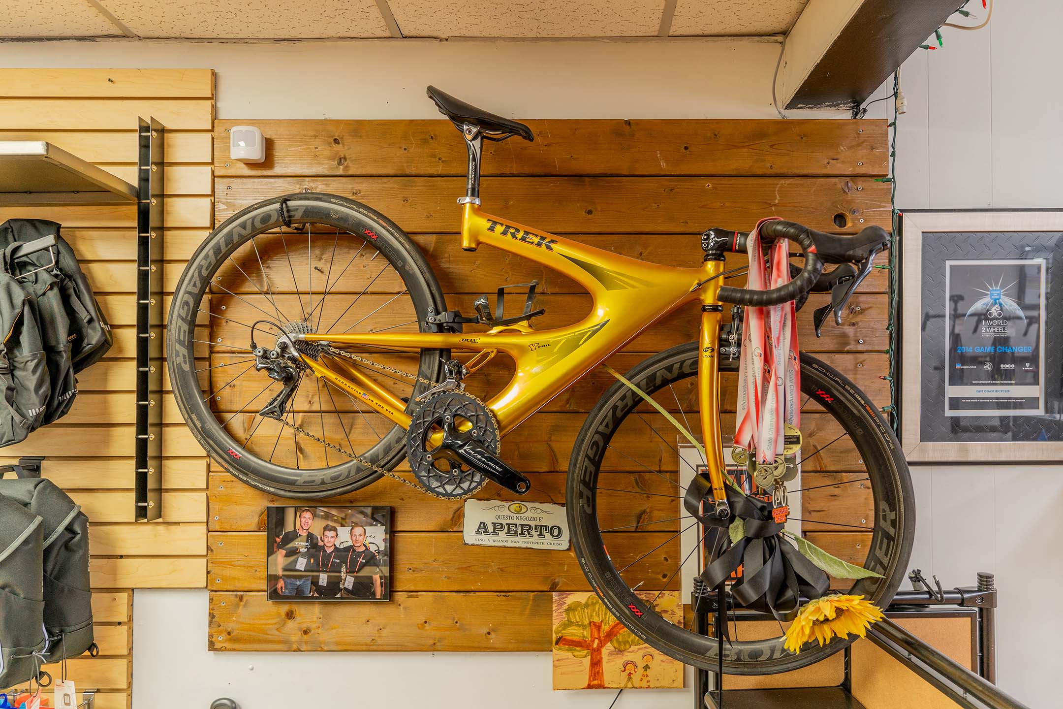 East Coast Bicycles - Norfolk, VA