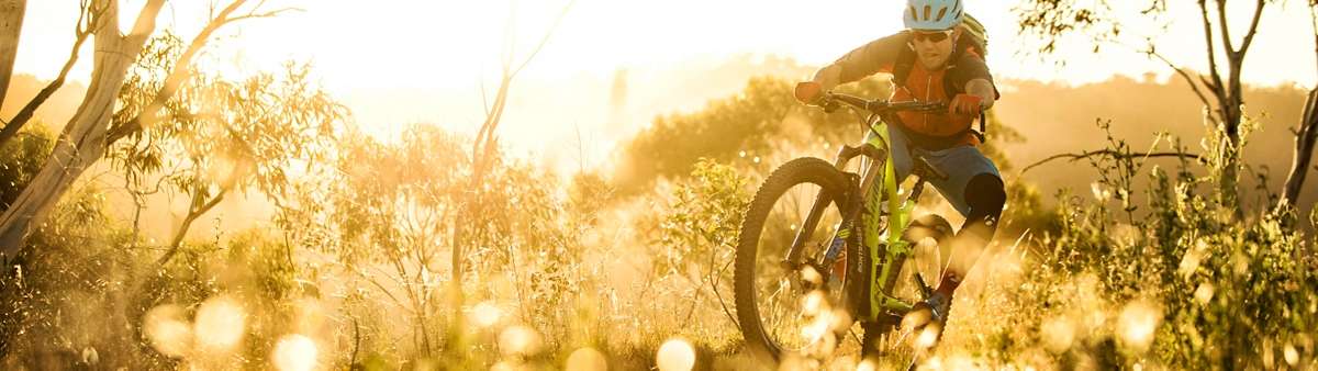 Buy Bontrager Mountain Bike Wheels | 29 