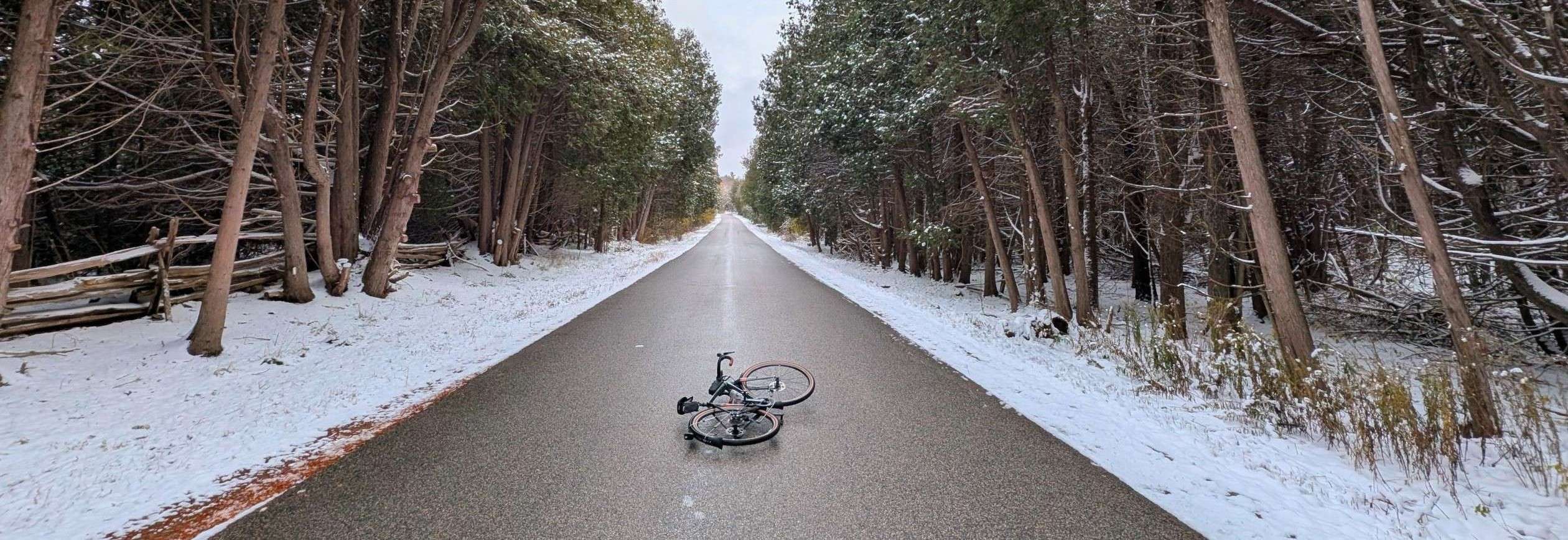 winter bike with fenders on road with snow and evergreen trees