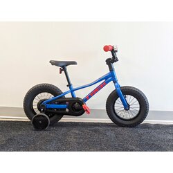 Trek USED Kids Bike - 12