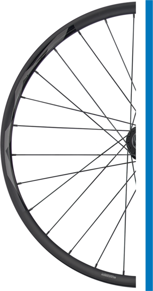 Giant Wheel 21 AM Rear 29x30mm, 148x12mm Shimano HG Driver, Blk/Bl