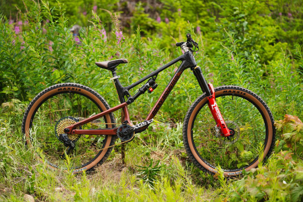 Full suspension mountain bikes have a front suspension fork and a rear shock and are best on challenging terrain.