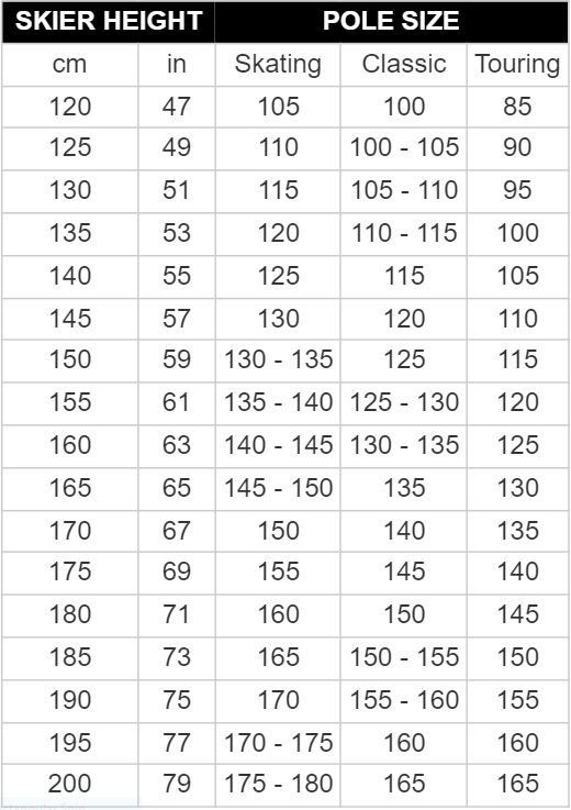 Rossignol Force 5 Racing Poles Bushtukah