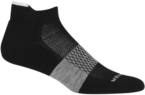 Icebreaker Multisport Light Cushion Micro Socks - Men's