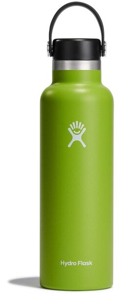 Hydro Flask 21 oz Standard Mouth - Seagrass