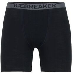 Icebreaker Anatomica Long Boxers - Men's