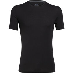 Icebreaker Anatomica Merino Short Sleeve T-Shirt Men's
