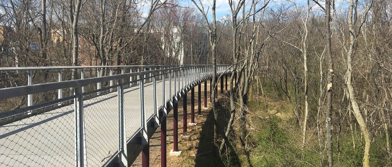 Neponset River Greenway