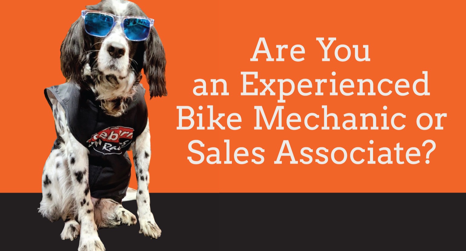 Bikebarn: We're Hiring!