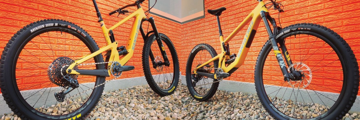 Santa Cruz Bronson near me