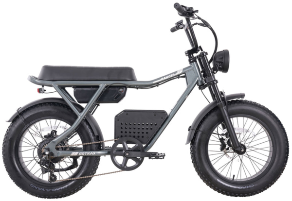 GOTRAX Ranger Electric Bike