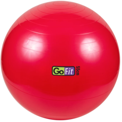GoFit Stability Ball
