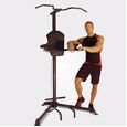 Inspire Fitness Power Tower