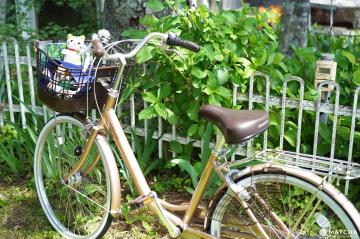 Doug and Marion's Bike Sales \u0026 Repairs 