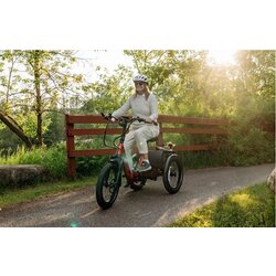 Velotric TRIKER ELECTRIC FOLDABLE TRICYCLE(We match all manufactuer promotions. Free assembly and 2 free check-ups in the first year of purchase)