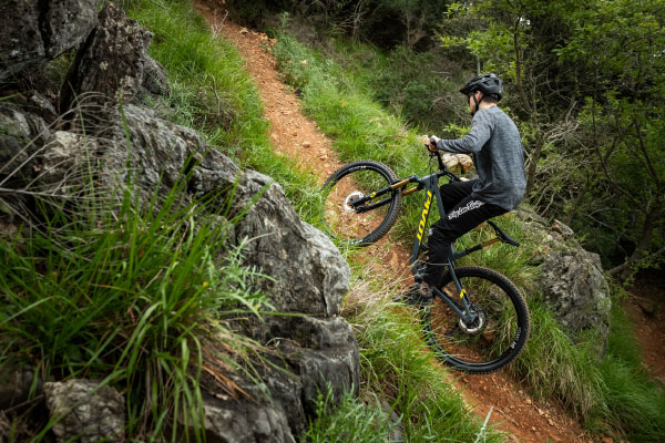 Choose the Trail 429 for its perfect balance of performance and versatility.