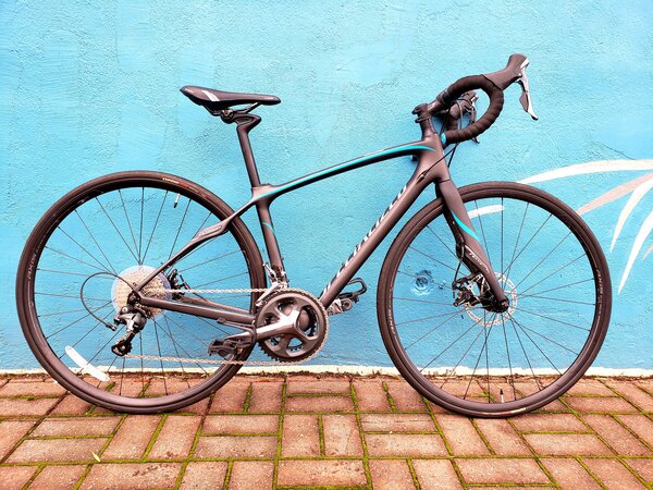 Specialized Ruby Disc - Women's (In stock bike only)