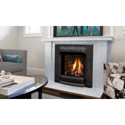Enviro Q1 Gas fireplace Insert