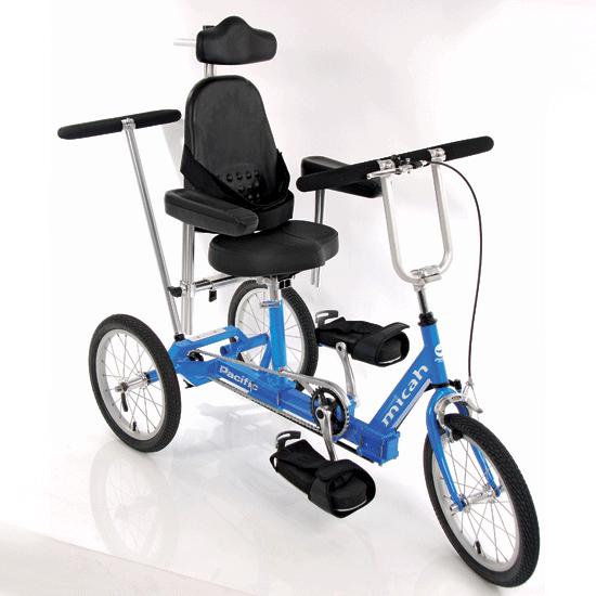 Worksman MICAH Special Needs Tricycle