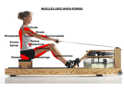 waterrower oxbridge s4