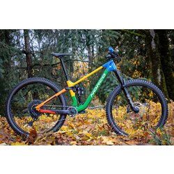 Norco Fluid Carbon FS Everything