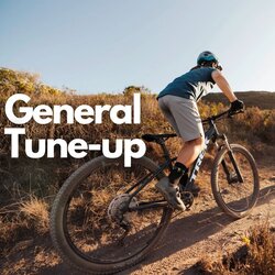 Danny's Cycles General Tune-up Package