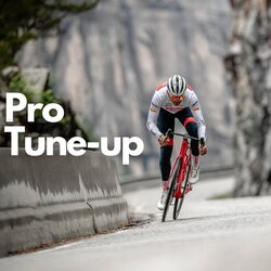 Danny's Cycles Pro Tune-up Package